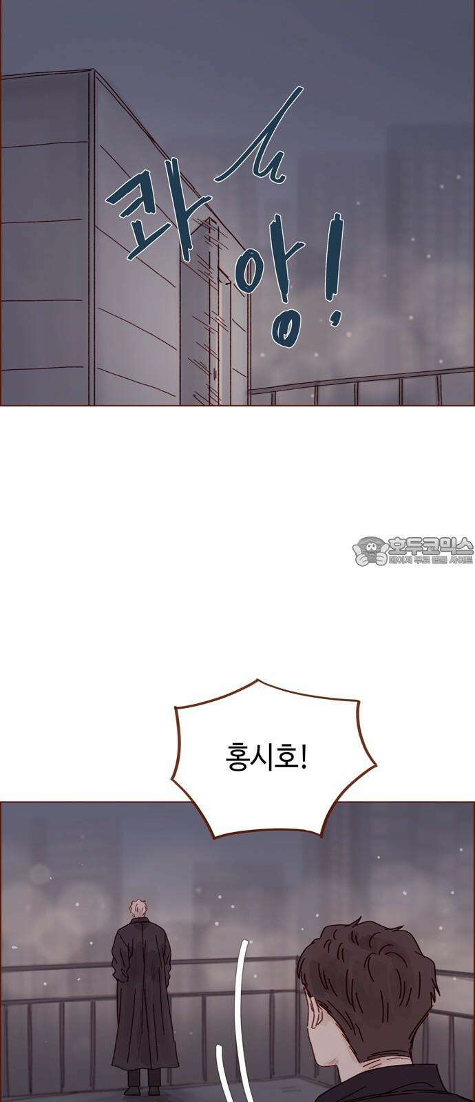 홍시는 날 좋아해! 306화 : 건드리지 말라고 했잖아 12