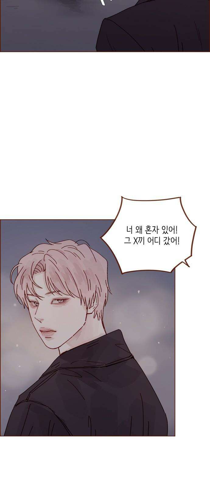 홍시는 날 좋아해! 306화 : 건드리지 말라고 했잖아 13