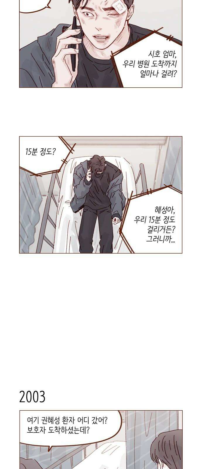 홍시는 날 좋아해! 306화 : 건드리지 말라고 했잖아 37