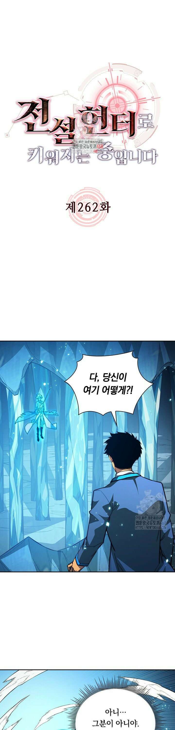 전설 헌터로 키워지는 중입니다 262화 1