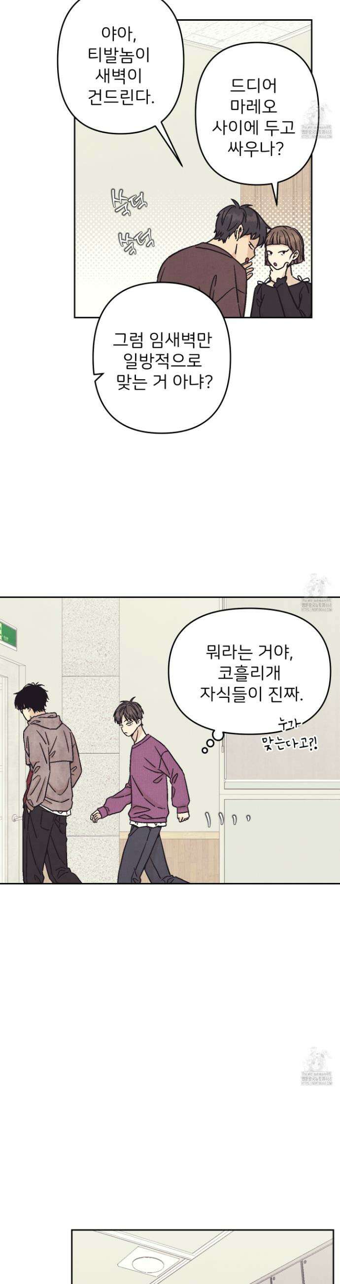 작전명 마레오 16화 2