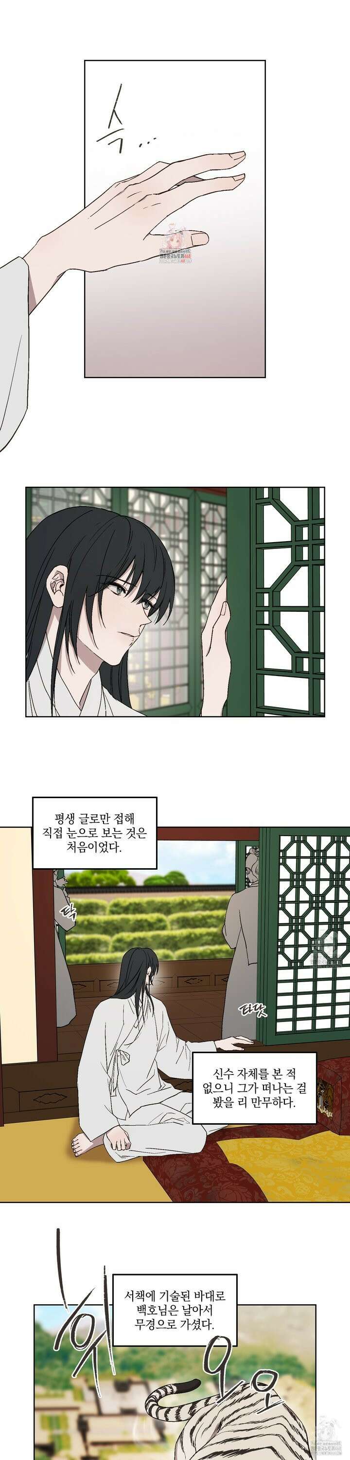 백호의 왕 13화 1