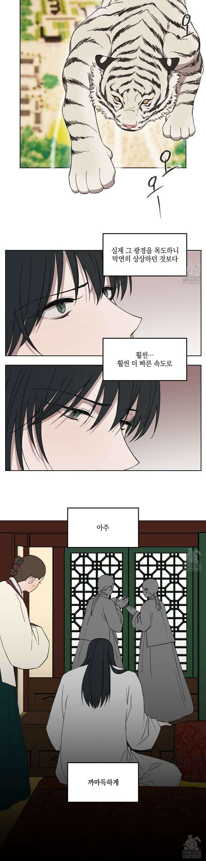백호의 왕 13화 2