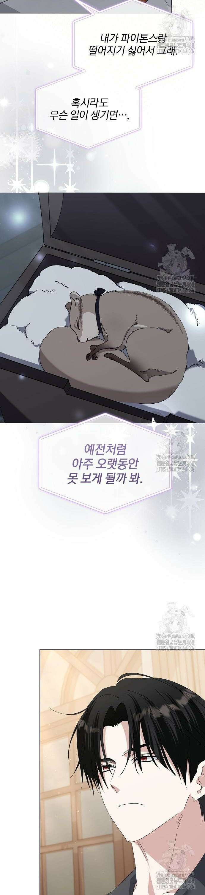 암살자 가문의 수양딸이 되었다 66화 8