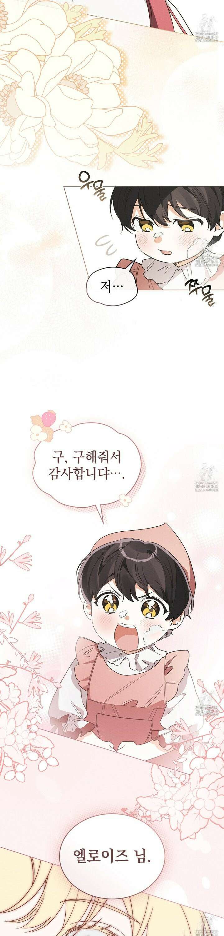남편에게 쫓기고 있습니다 17화 26