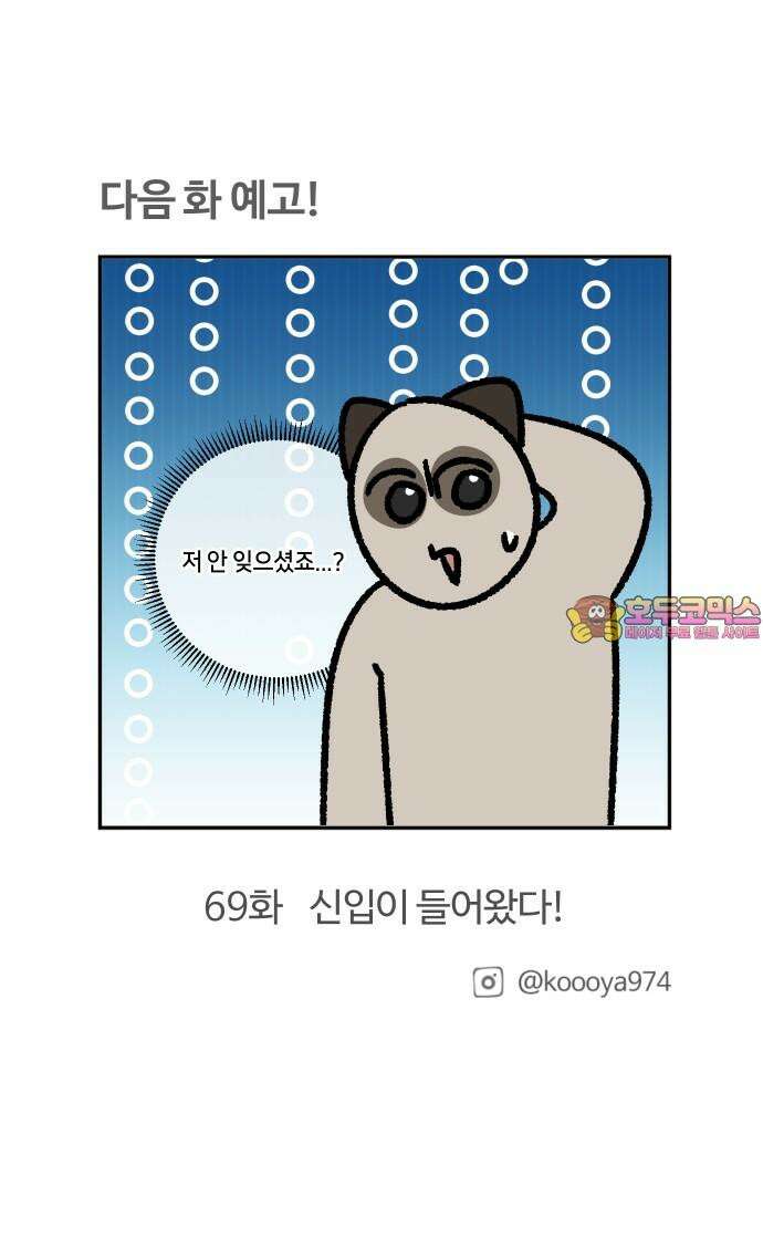 구야는 신입 68화 스타트업 잔혹사 (完) 19
