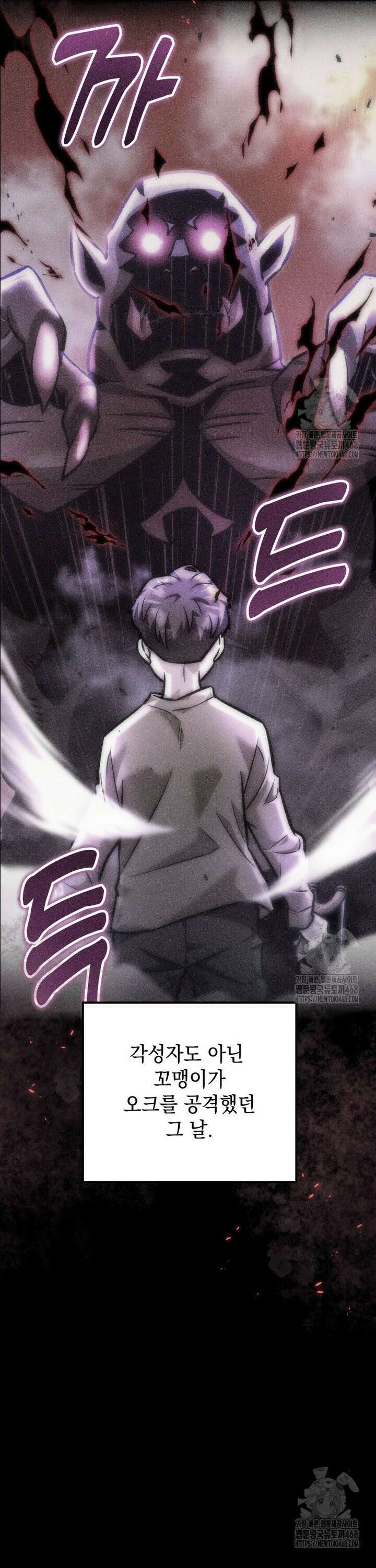 마력이 0.06인 내가 스킬레벨만으로 최강 헌터가 되어 새총의 위대함 1화 66