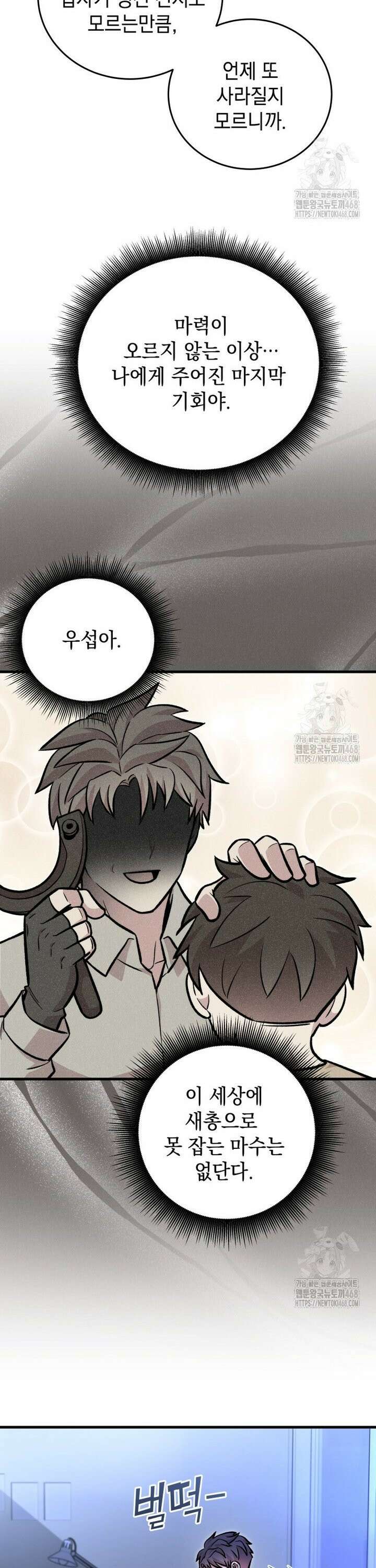 마력이 0.06인 내가 스킬레벨만으로 최강 헌터가 되어 새총의 위대함 10화 21