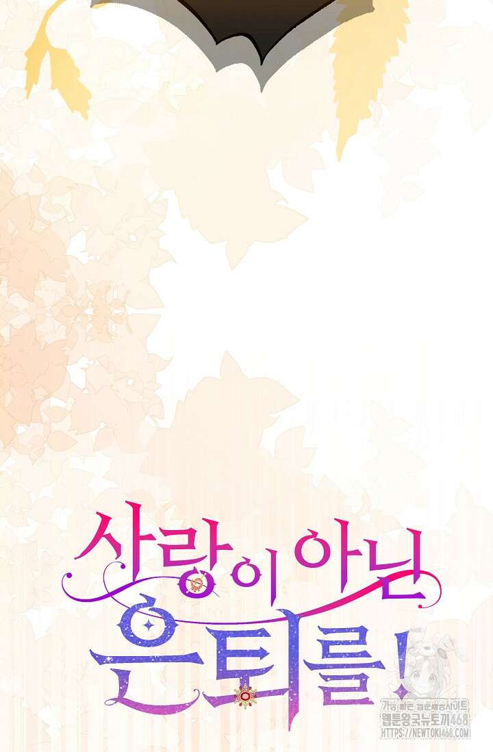 사랑이 아닌 은퇴를 39화 13