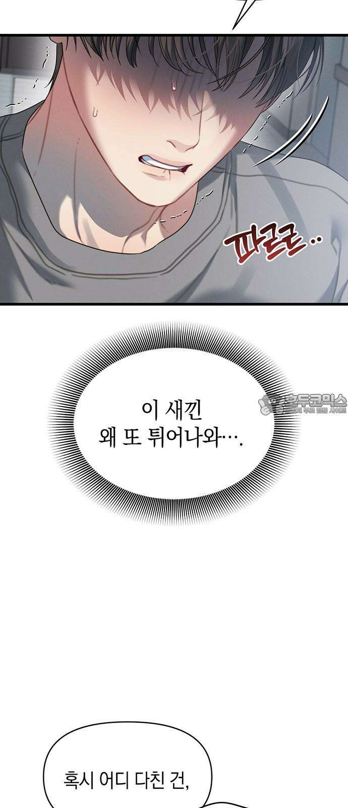 우아한 욕망 79화 6