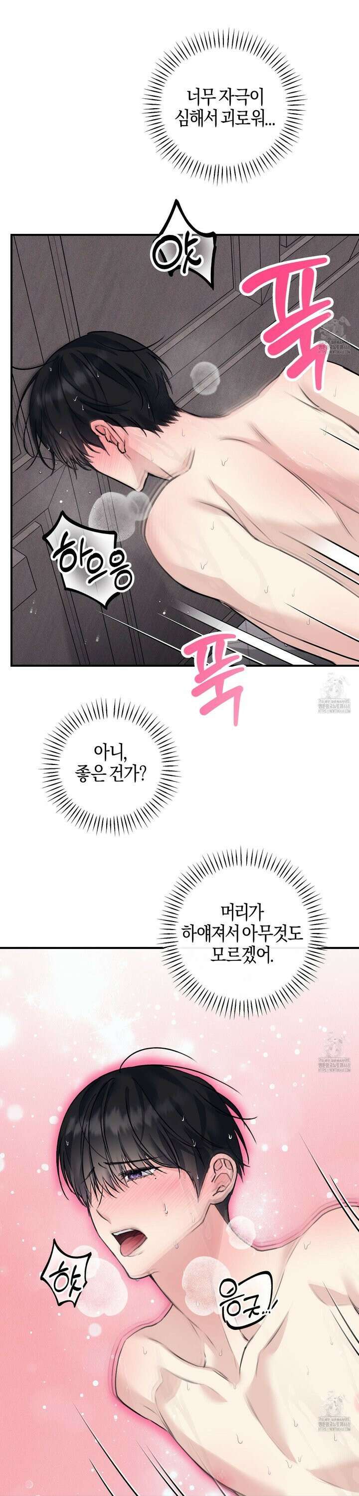해와 달의 공생관계 41화 19