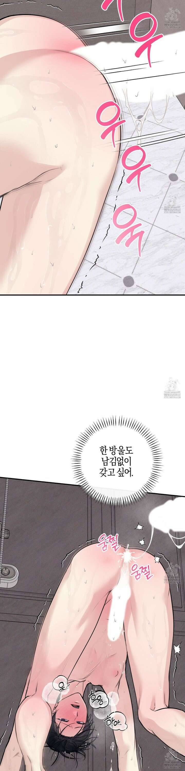 해와 달의 공생관계 41화 36