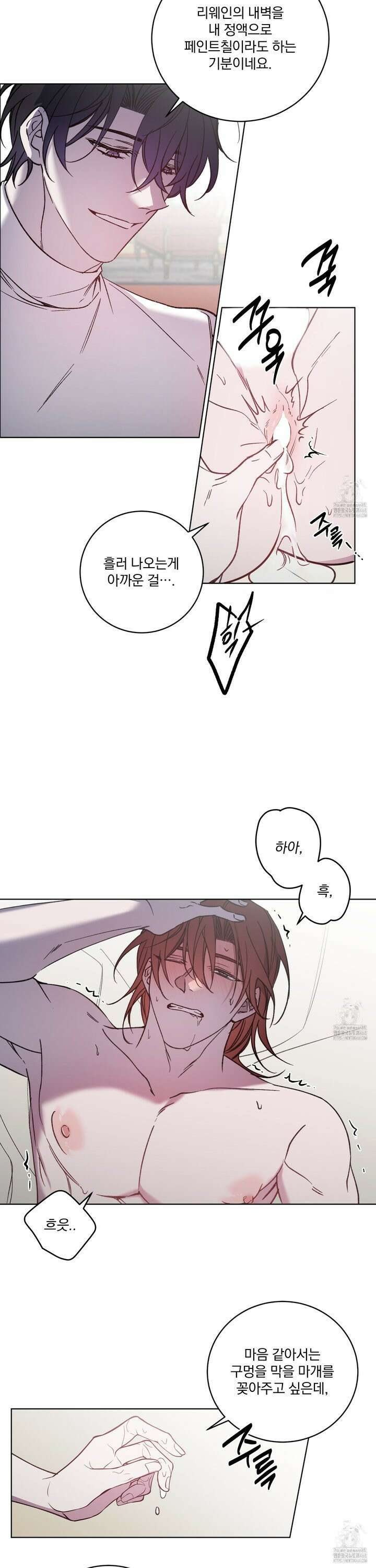 백작님! 사랑을 주세요 84화 2