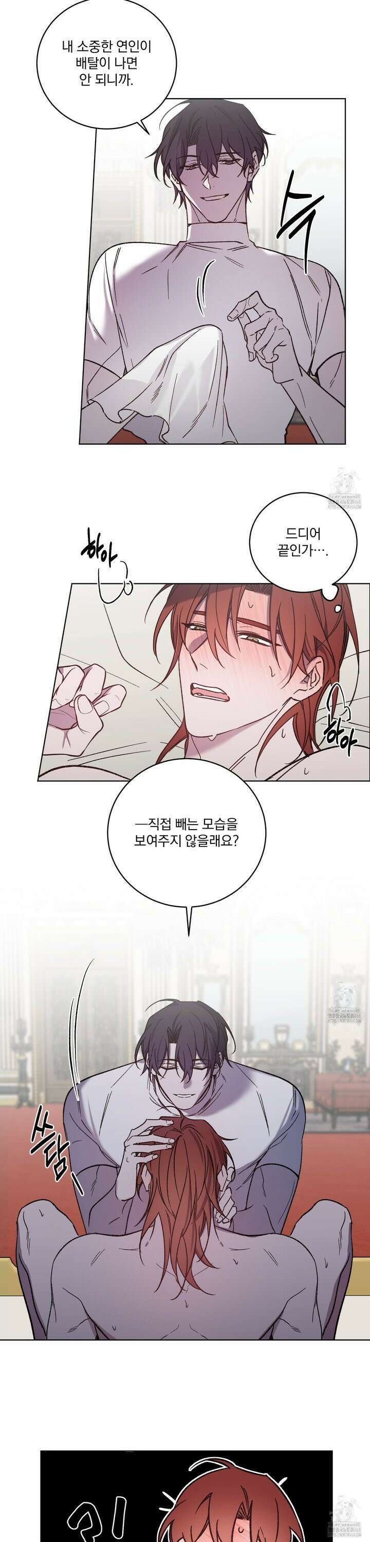 백작님! 사랑을 주세요 84화 3