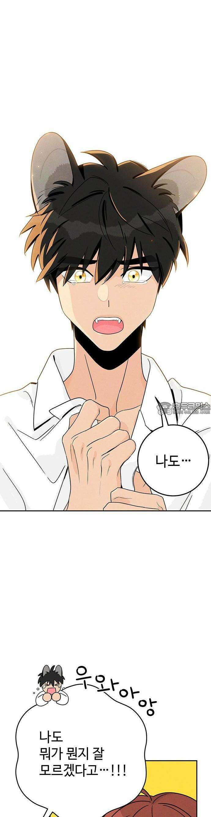 요괴삼월 4화 6