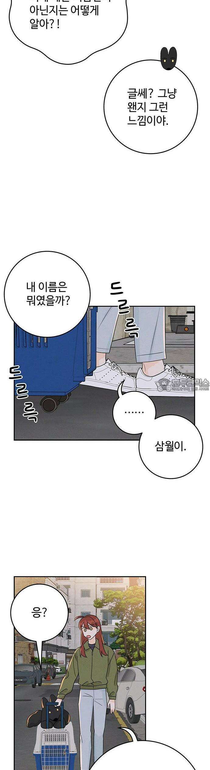 요괴삼월 4화 32