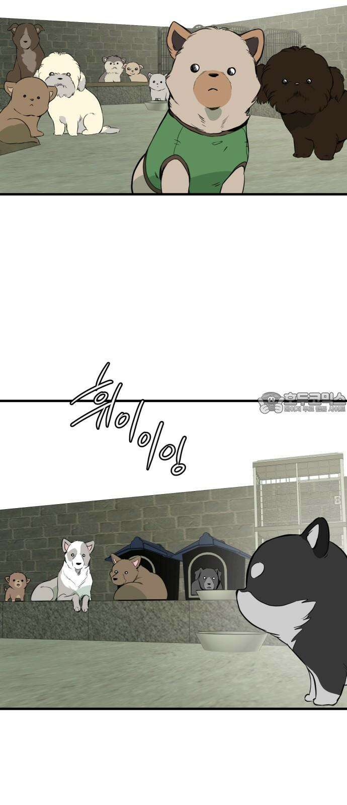개같이 탈출 85화 81