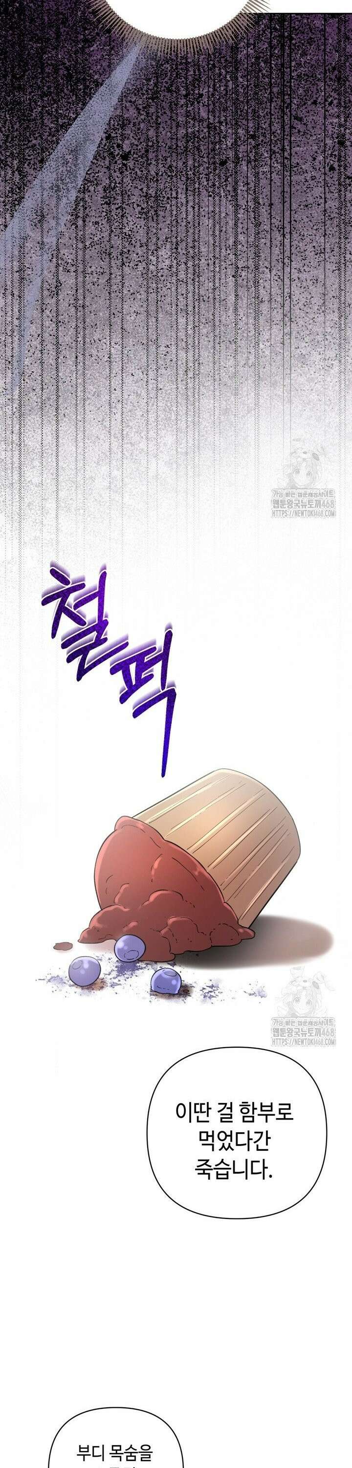 몰락한 왕녀에게는 회귀가 필요합니다 11화 23