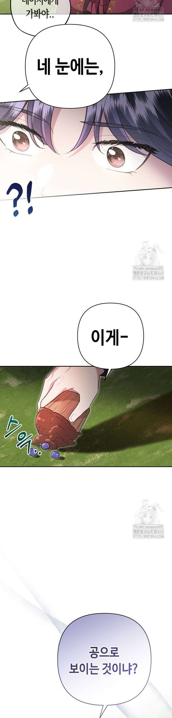 몰락한 왕녀에게는 회귀가 필요합니다 11화 25