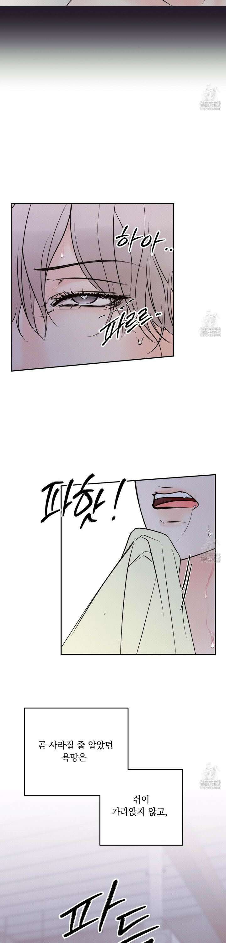 미혹의 경계 15화 22