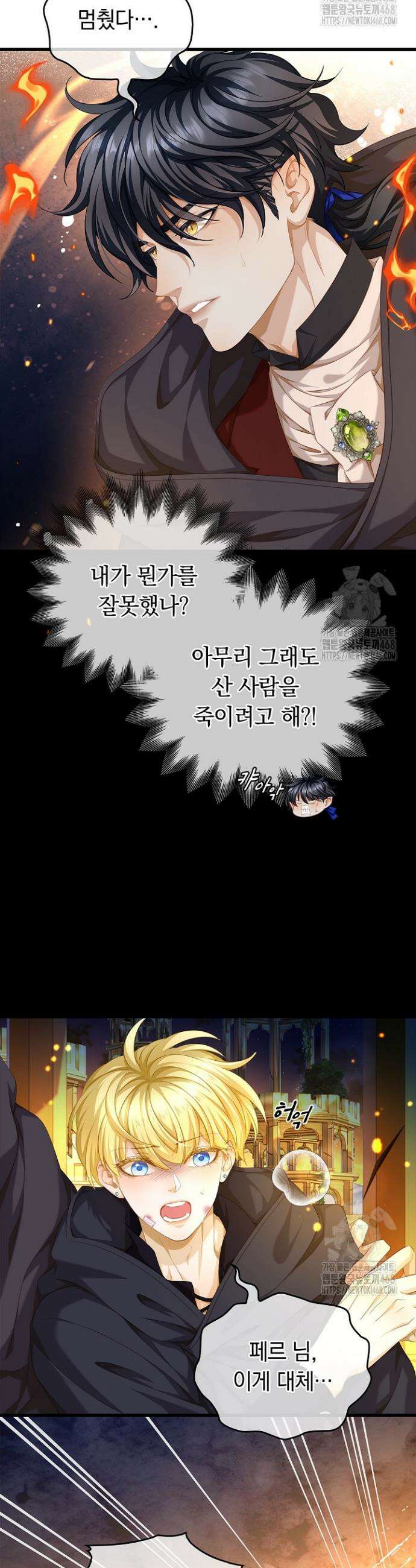 황태자의 용으로 태어났다 54화 3