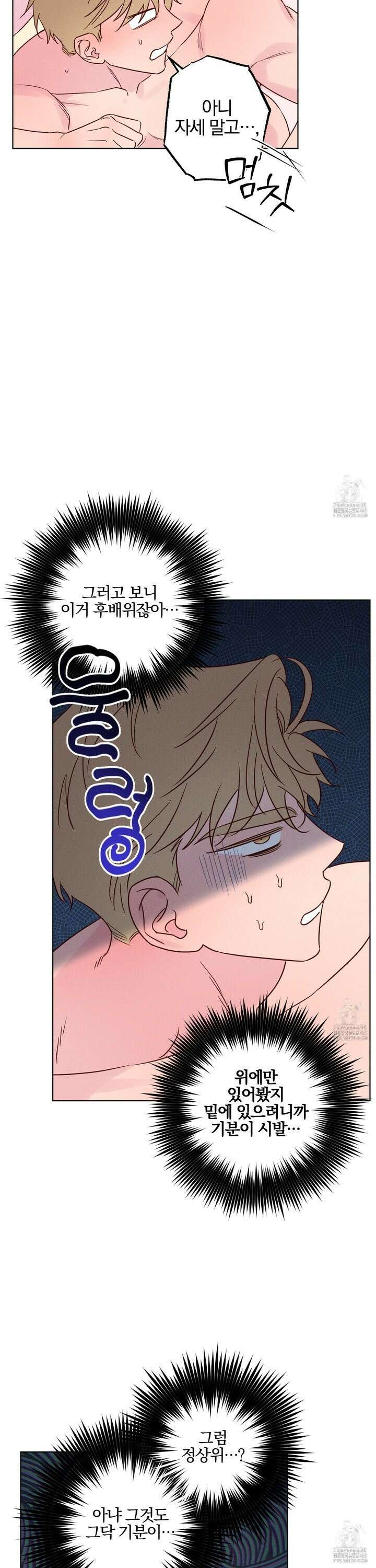 파도의 해안 33화 2