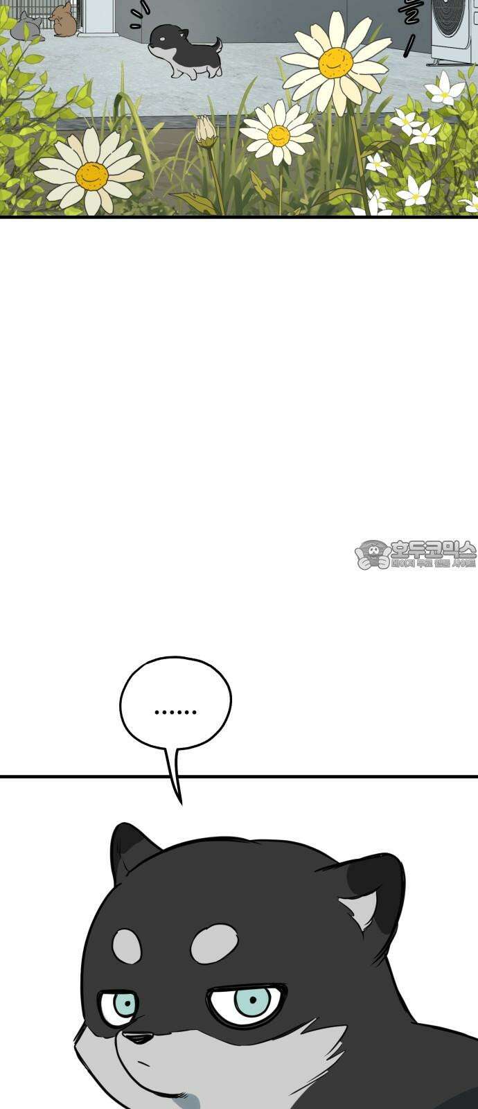 개같이 탈출 86화 54