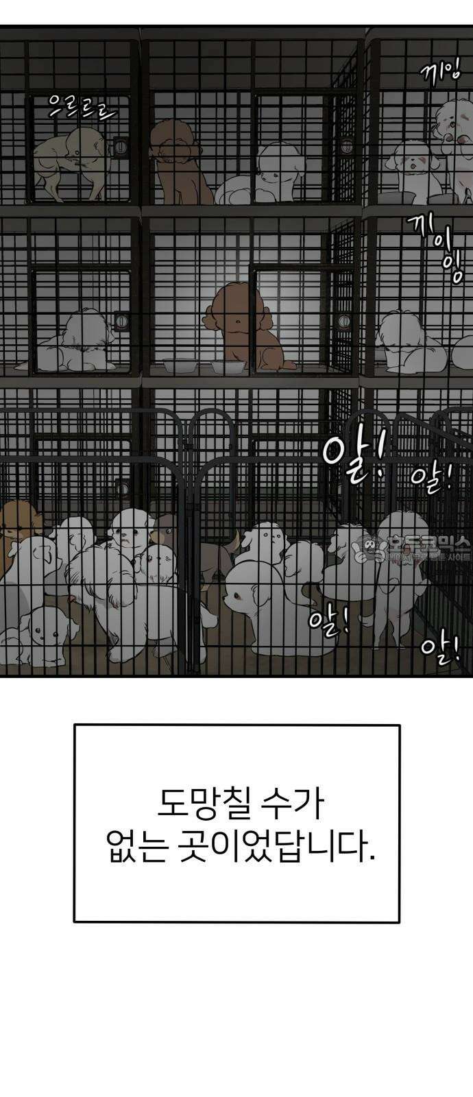 개같이 탈출 86화 84