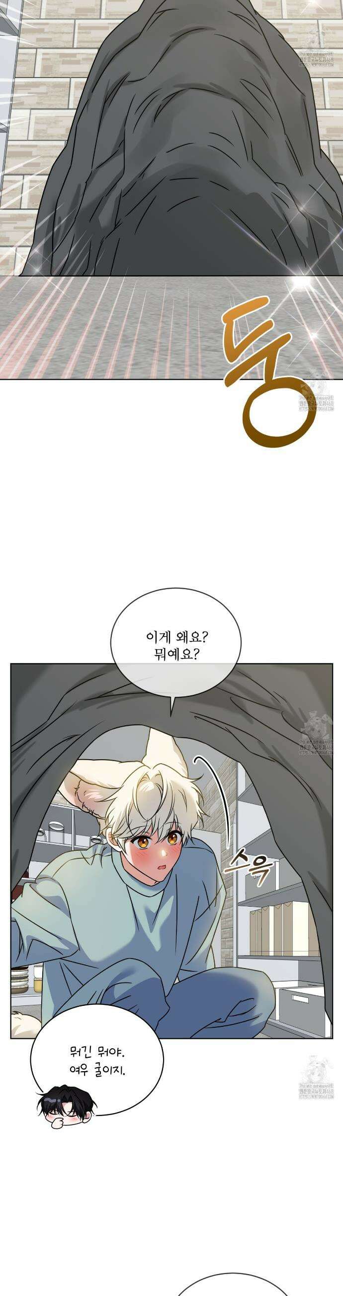 플린의 여우음료 42화 6