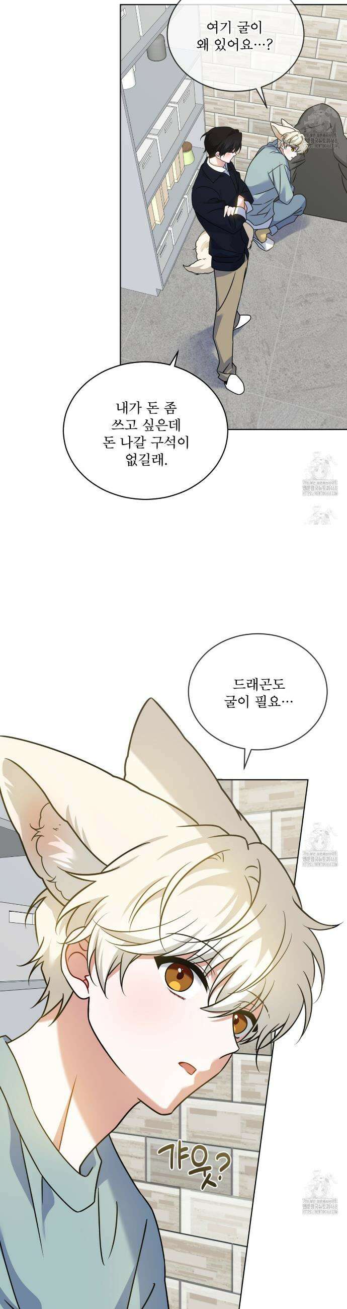 플린의 여우음료 42화 7