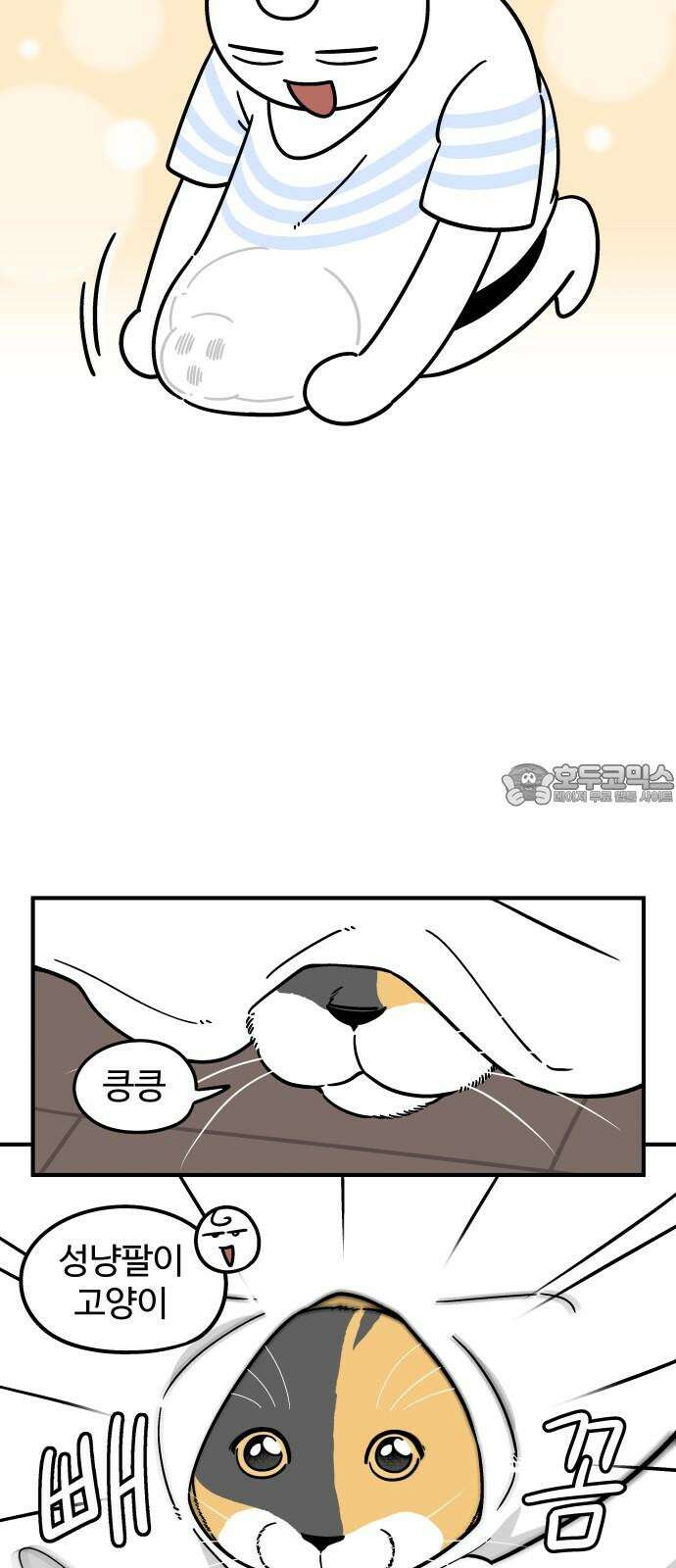 노곤하개 쇼츠 긴 티셔츠 3
