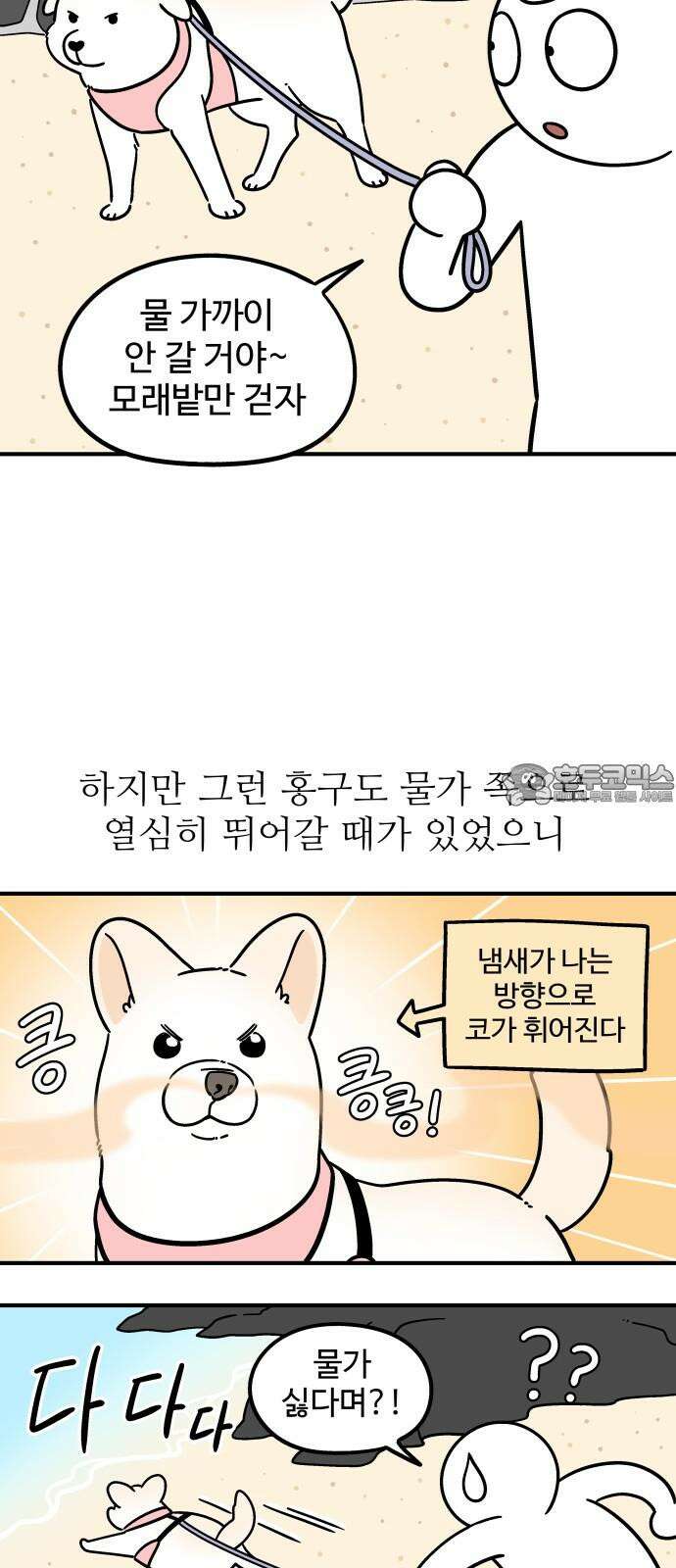노곤하개 쇼츠 긴 티셔츠 6