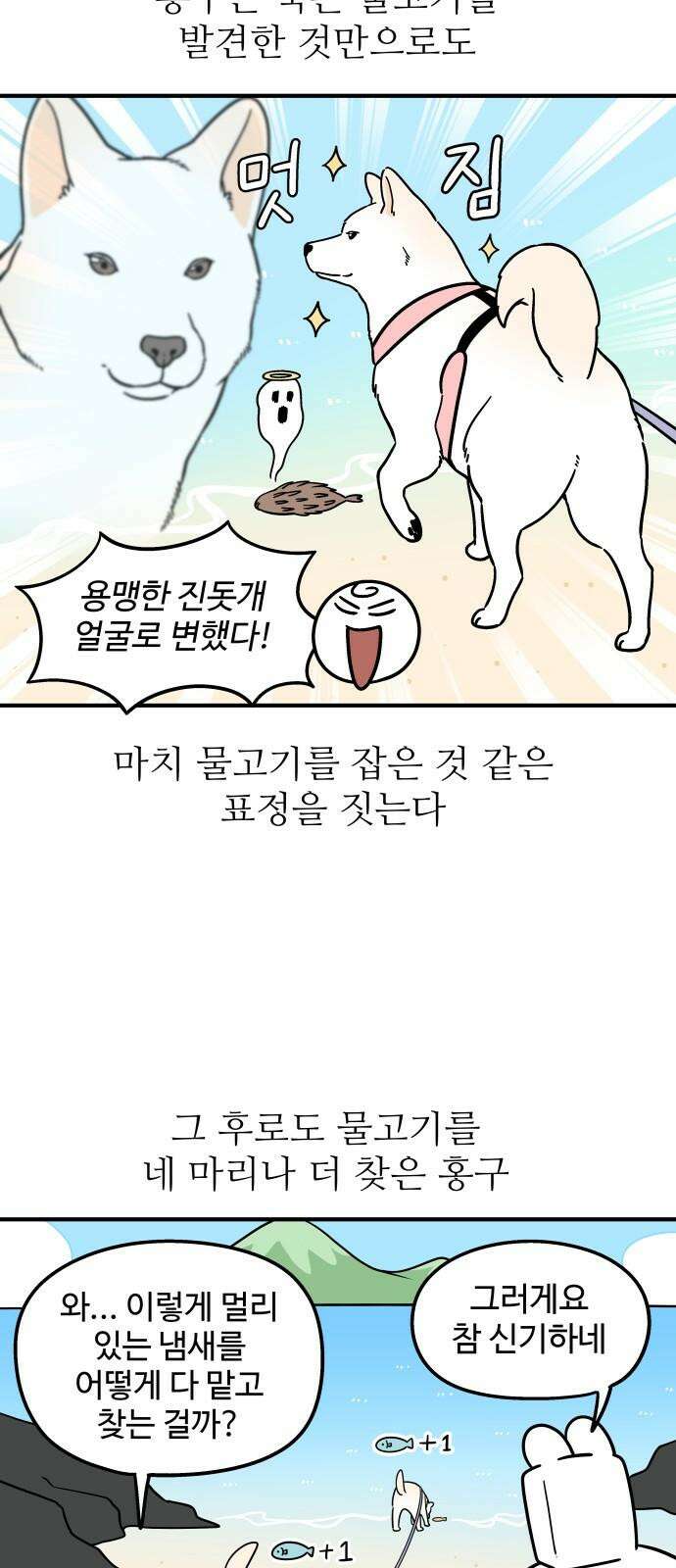 노곤하개 쇼츠 긴 티셔츠 8