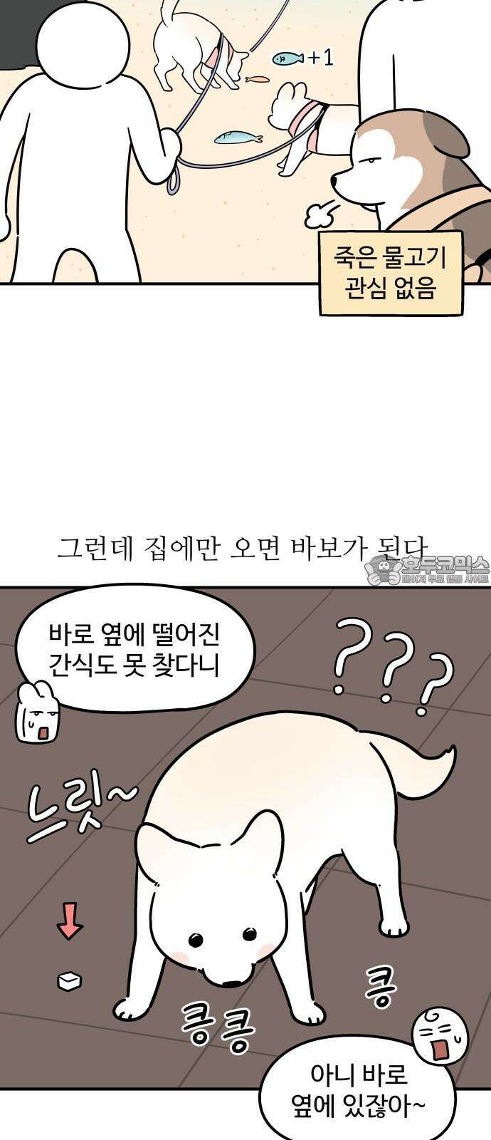 노곤하개 쇼츠 긴 티셔츠 9