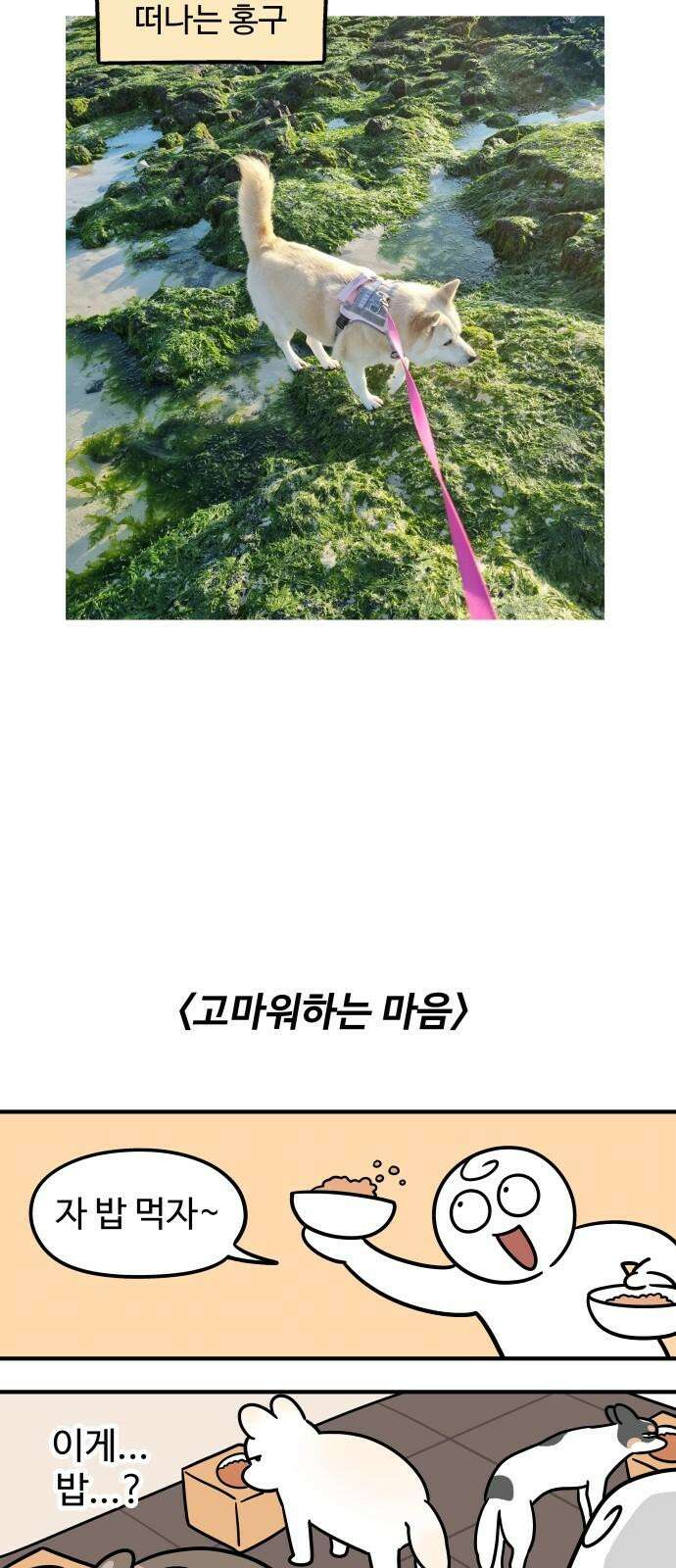 노곤하개 쇼츠 긴 티셔츠 11