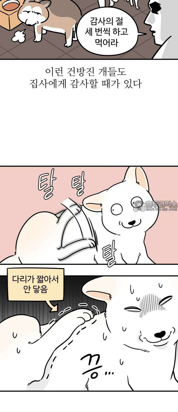 노곤하개 쇼츠 긴 티셔츠 12