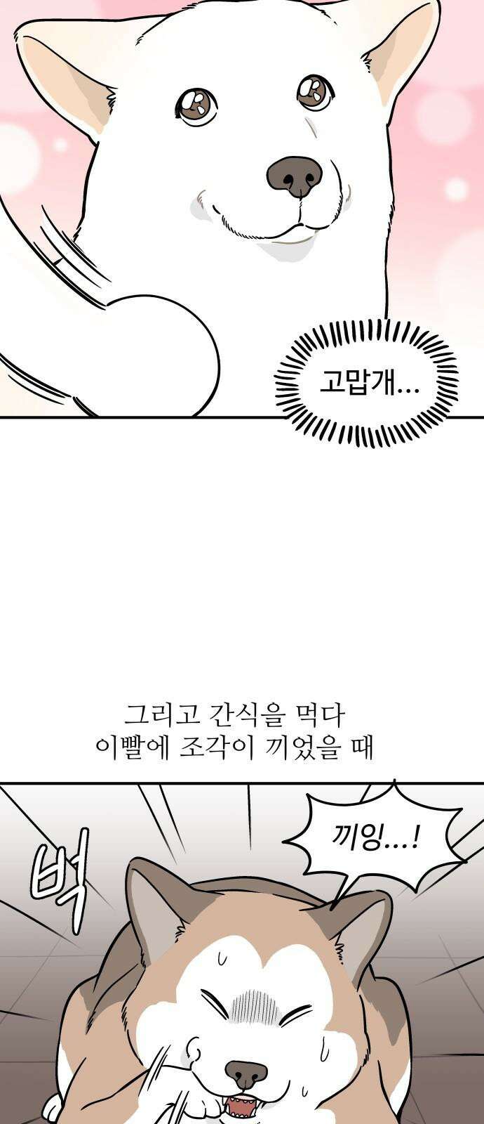노곤하개 쇼츠 긴 티셔츠 14