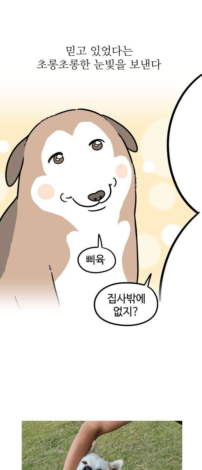 노곤하개 쇼츠 긴 티셔츠 16