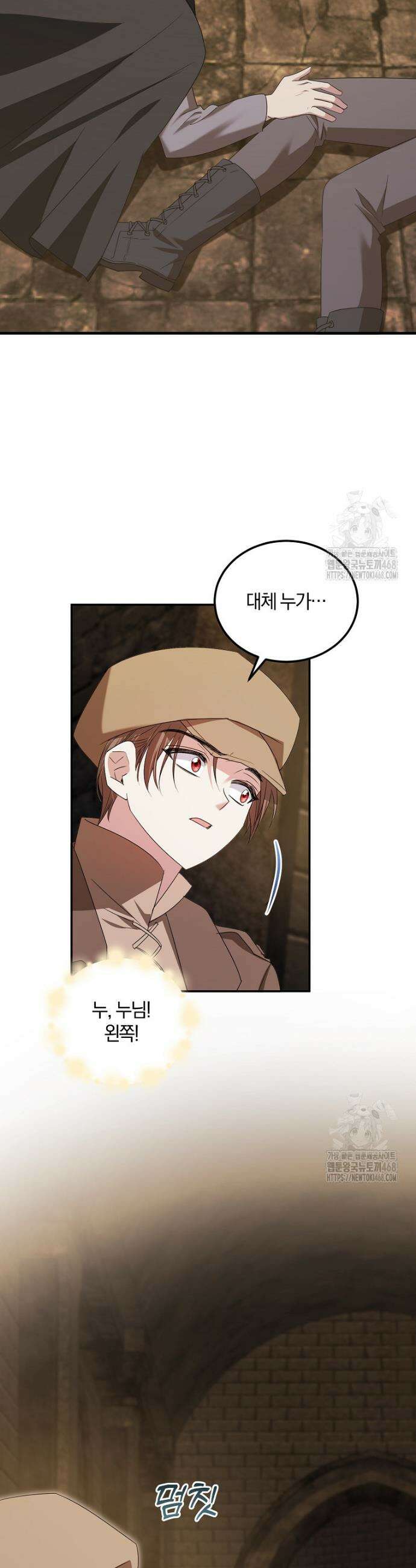 영웅은 됐어요, 은퇴라면 몰라도 61화 11