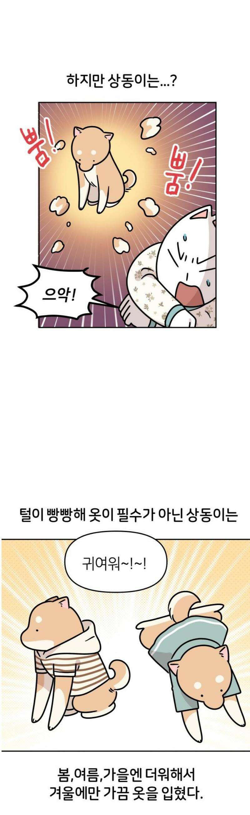 시바, 만만치 않다 45화 쓸모없는 소비 5