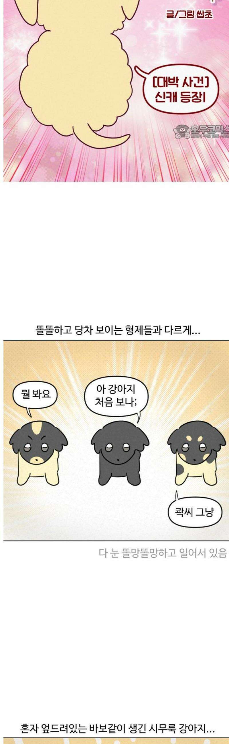 쌉초의 난 119화 [대박 사건] 신캐 등장1 2