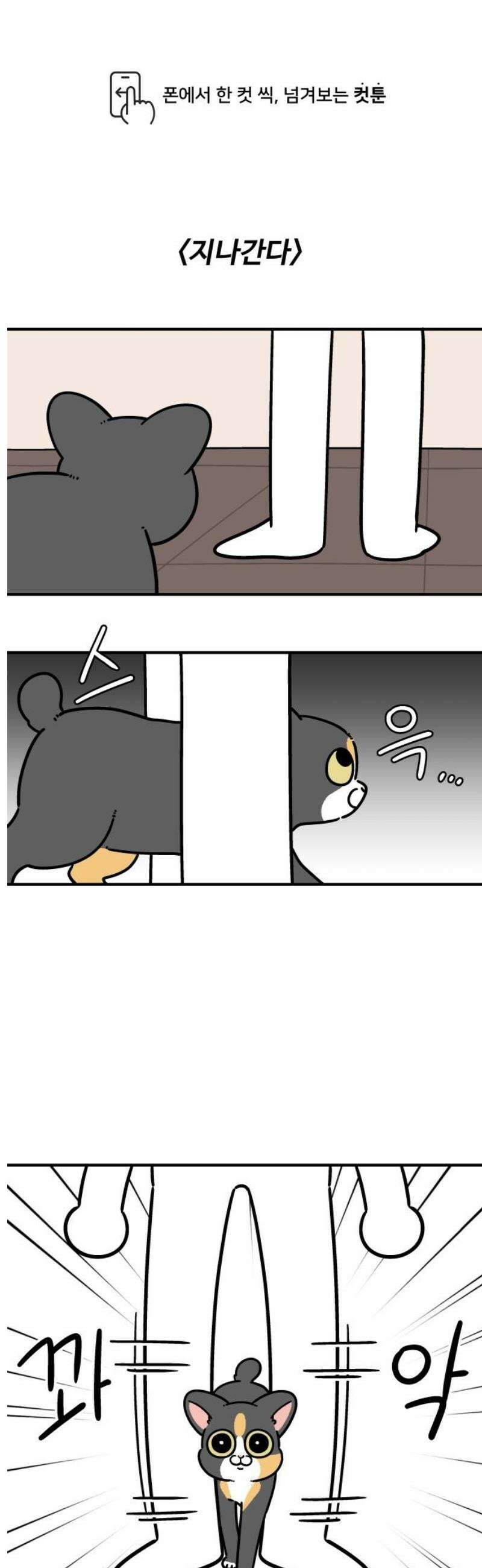 노곤하개 쇼츠 지나간다 1