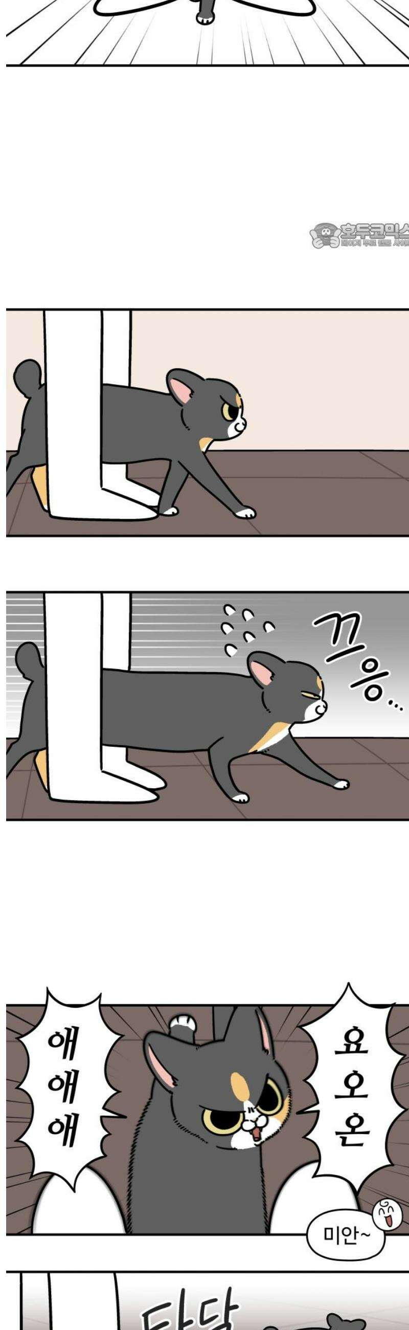 노곤하개 쇼츠 지나간다 2