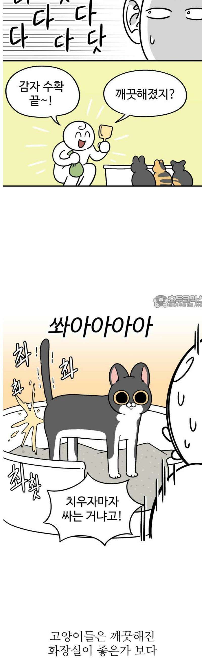 노곤하개 쇼츠 지나간다 6