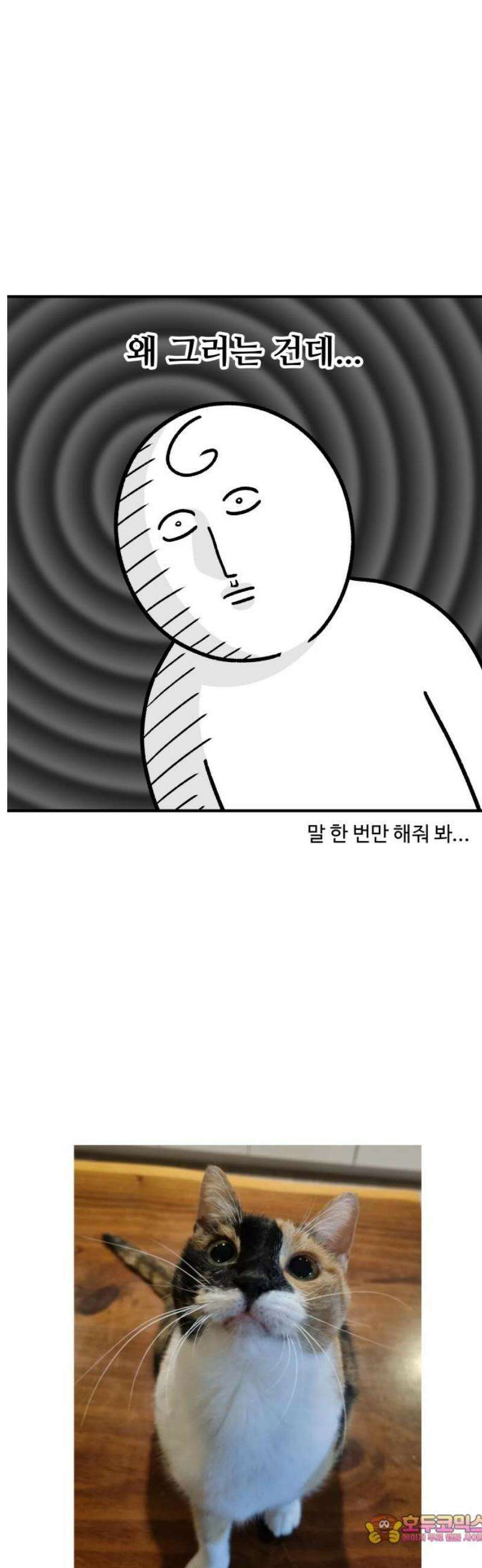 노곤하개 쇼츠 지나간다 11