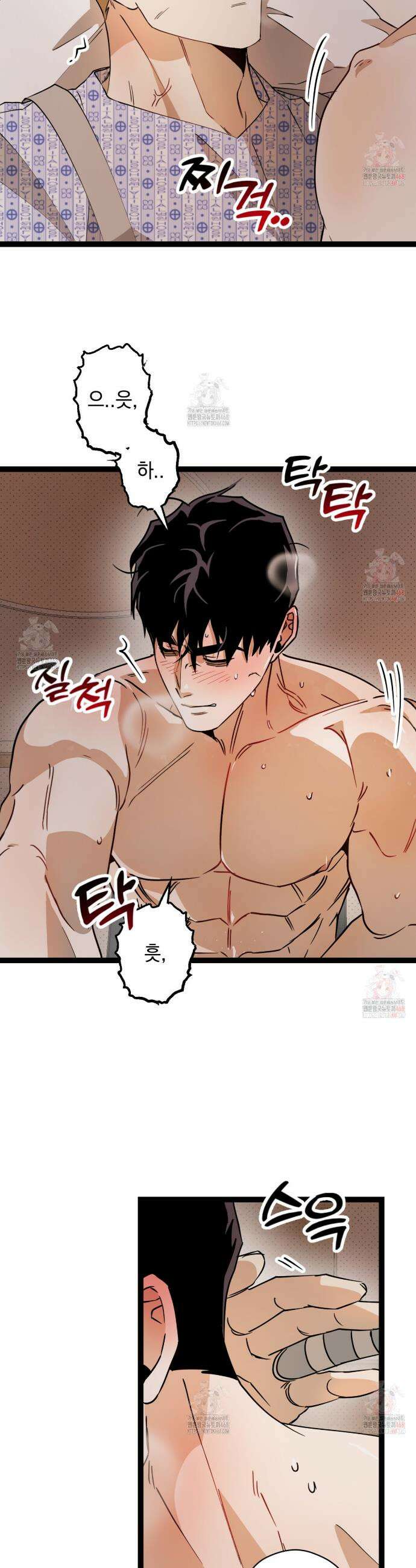 투 마이 발렌타인 (To my valentine) 55화 12