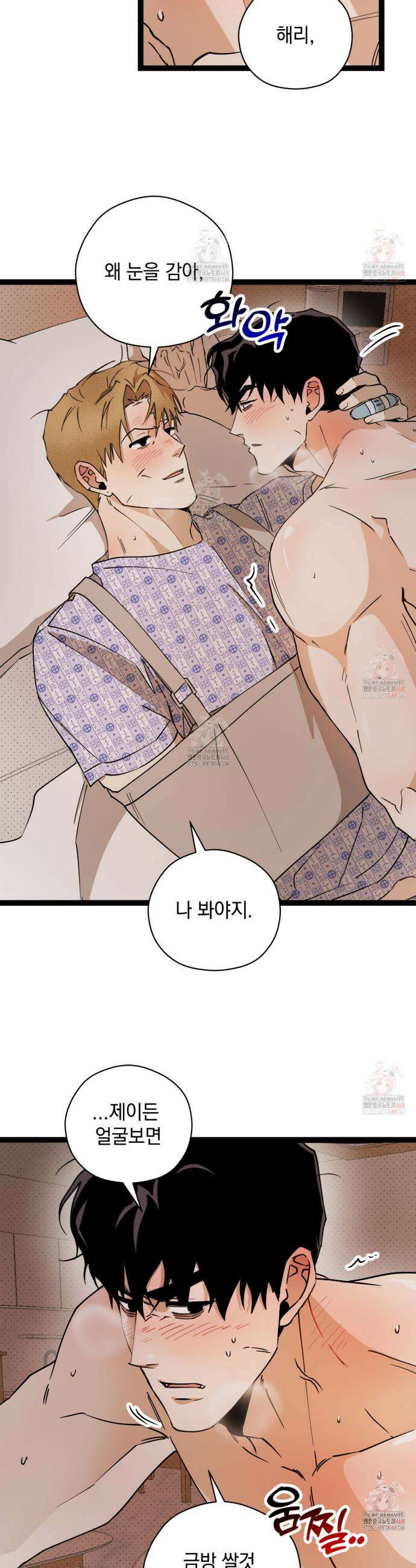 투 마이 발렌타인 (To my valentine) 55화 13