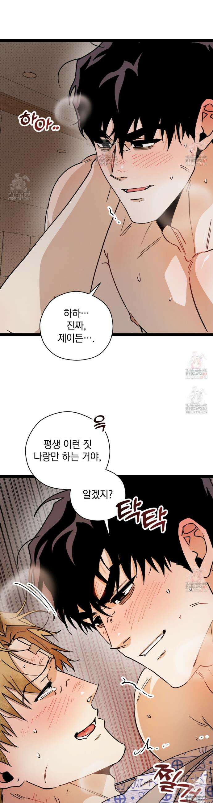 투 마이 발렌타인 (To my valentine) 55화 19