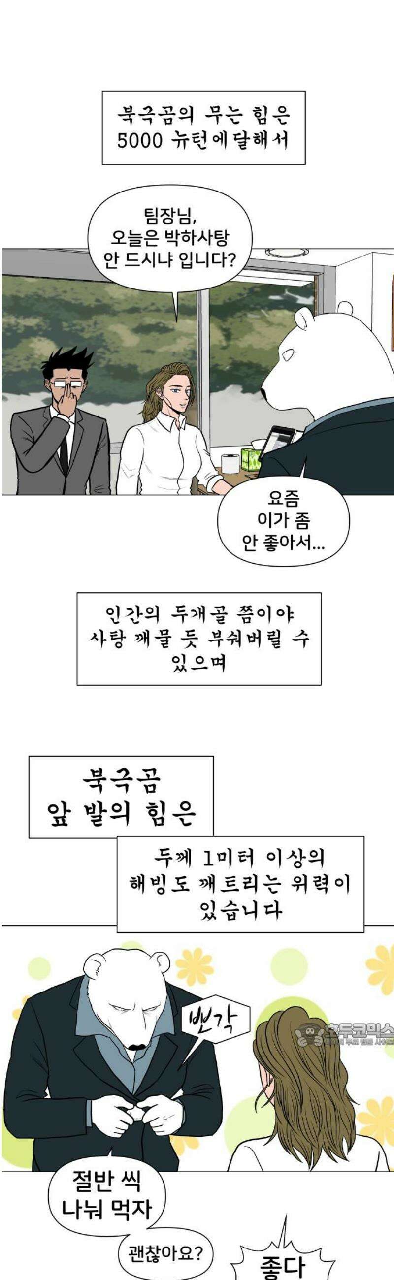 후덜덜덜 남극전자 300화 남극에는 여전히 북극곰이 살지 않는다 2