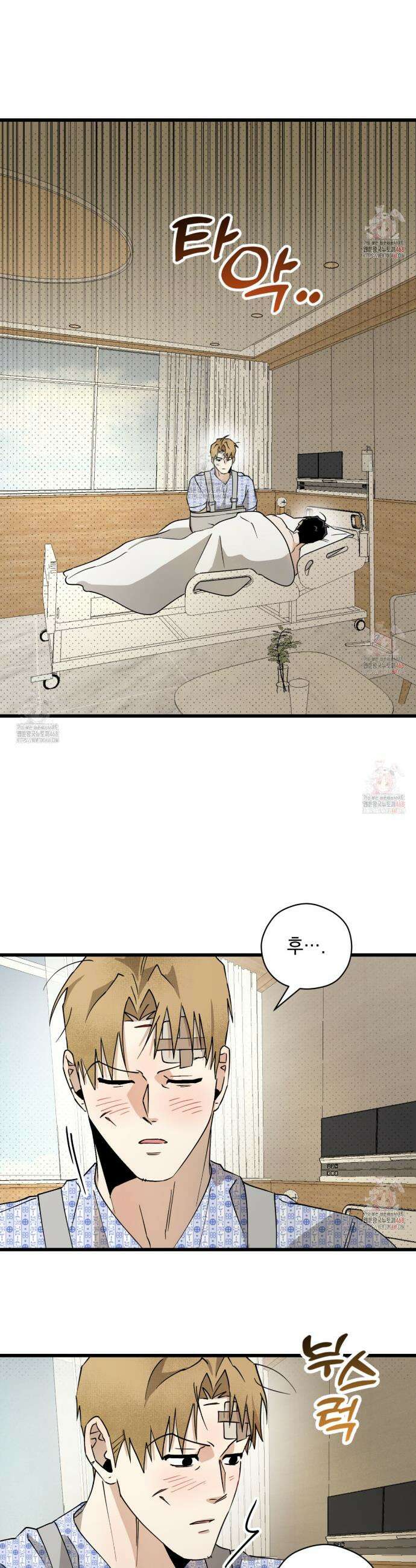 투 마이 발렌타인 (To my valentine) 56화 11